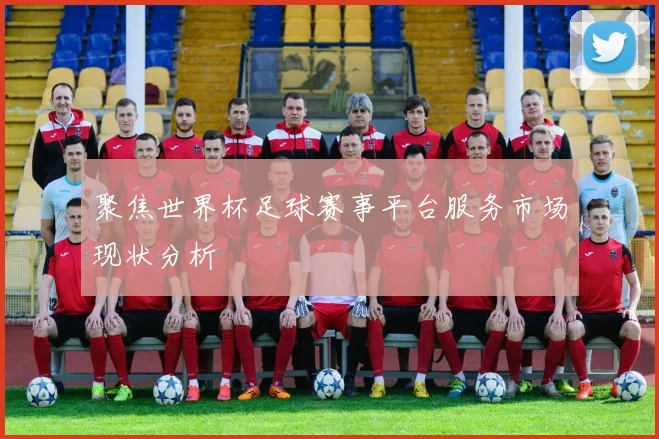 聚焦世界杯足球赛事平台服务市场现状分析