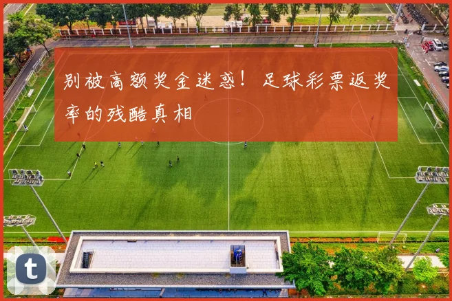 别被高额奖金迷惑！足球彩票返奖率的残酷真相
