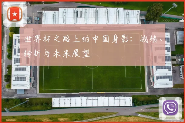 世界杯之路上的中国身影：战绩、转折与未来展望