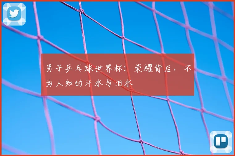 男子乒乓球世界杯：荣耀背后，不为人知的汗水与泪水